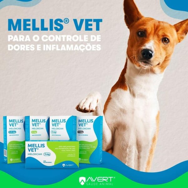 Anti-inflamatório Mellis VET Cães 0.5mg Avert - 10 Comprimidos - Image 2