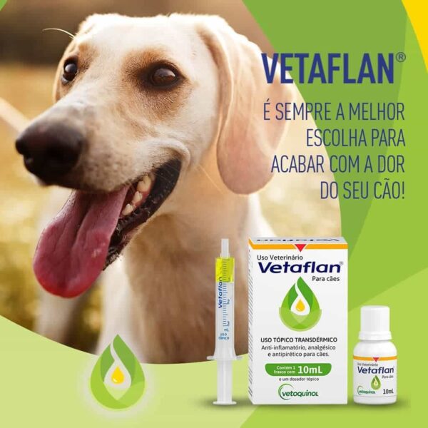 Anti-inflamatório, analgésico e antipirético Vetaflan para Cães Vetoquinol - 10ml - Image 2