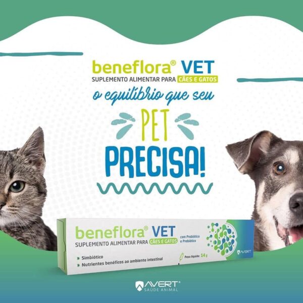 Suplemento Alimentar Avert Beneflora VET para Cães e Gatos - 14g - Image 2