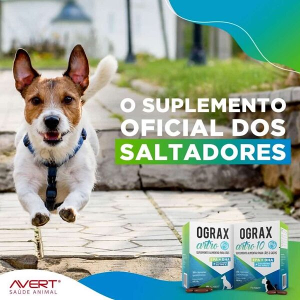 Suplemento Alimentar Ograx Artro 10 Avert para Cães e Gatos - 30 Cápsulas - Image 2