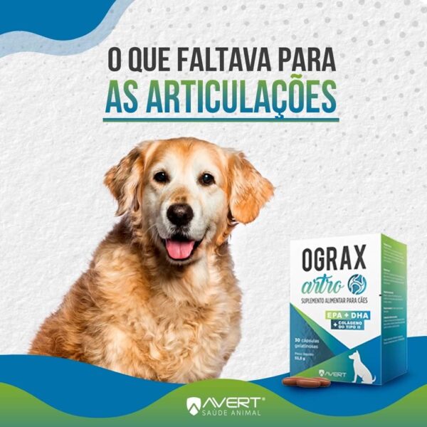 Suplemento Alimentar Ograx Artro Avert para Cães - 30 Cápsulas - Image 2