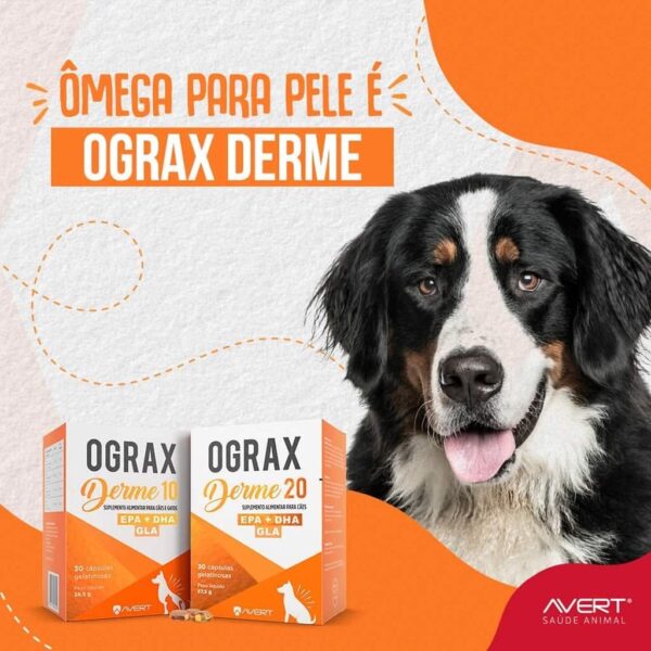 Suplemento Alimentar Ograx Derme 10 Avert para Cães e Gatos - 30 Cápsulas - Image 2