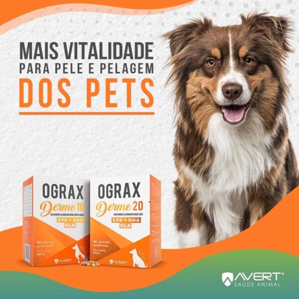 Suplemento Alimentar Ograx Derme 20 Avert para Cães - 30 Cápsulas - Image 2