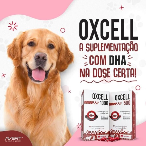 Suplemento Oxcell 1000 Avert - 30 Cápsulas - Image 2