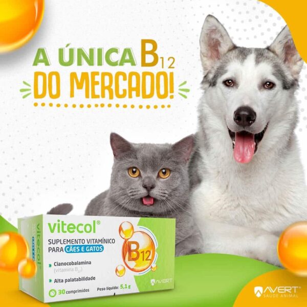 Suplemento Vitamínico Avert Vitecol para Cães e Gatos - 30 Comprimidos - Image 2