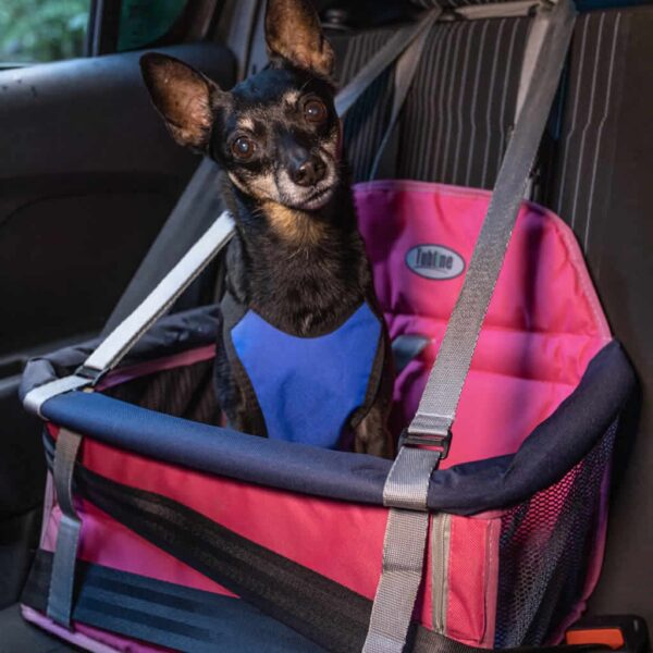 Assento TransPET Tubline Rosa e Azul Cães e Gatos de Pequeno Porte - Image 2