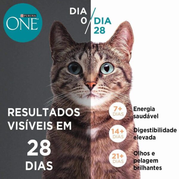 Sachê Purina One Gatos Adultos e Filhotes Salmão Atum e Peixe Branco Multi Proteínas Nestlé Purina 85g - 15un - Image 2