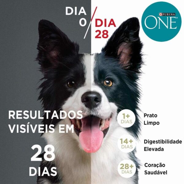 Sachê Purina One Cães Adultos e Filhotes Sabor Frango Super Nutrientes Nestlé Purina 85g - 15un - Image 2