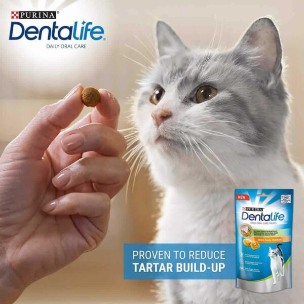 Petisco Funcional Dentalife Cats para Gatos Nestlé Purina 40g - Image 2