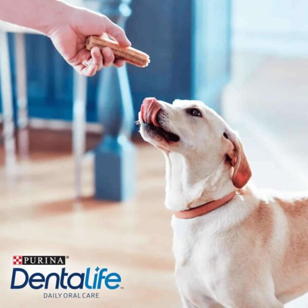 Petisco Funcional Dentalife Dogs para Cães de porte Grande Nestlé Purina 196g - Image 2