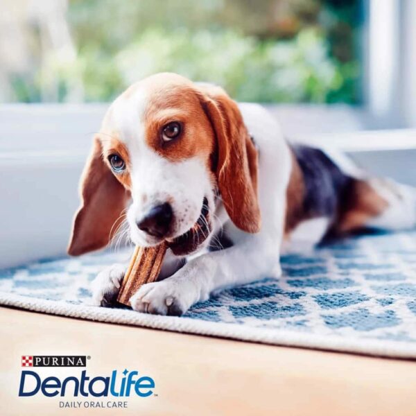 Petisco Funcional Dentalife Dogs para Cães de porte Pequeno Nestlé Purina 42g - Image 2