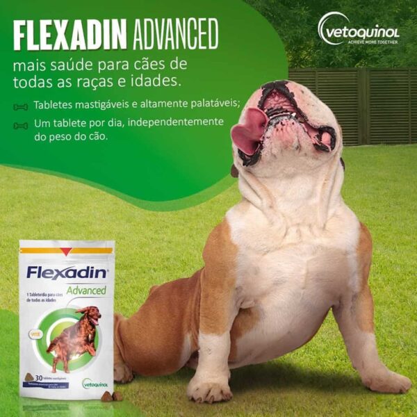 Suplemento Vitamínico Flexadin Advanced Vetoquinol para Cães - 90g - Image 2