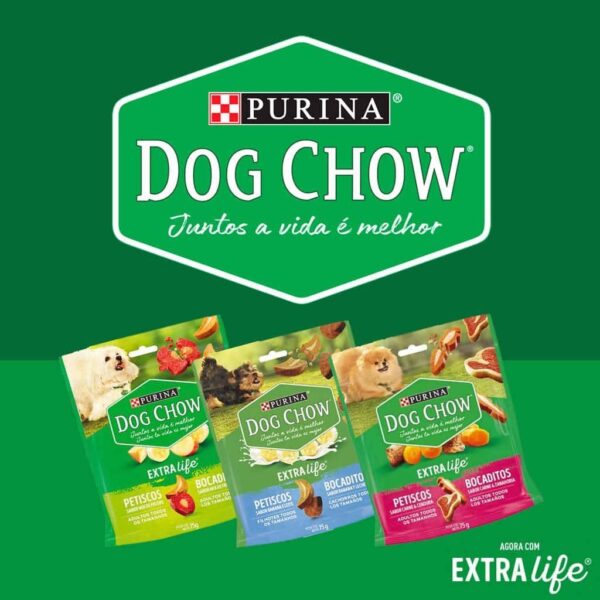 Petisco Dog Chow Cães Adultos Mix de Frutas Todos os Tamanhos Nestlé Purina 75g - Image 2