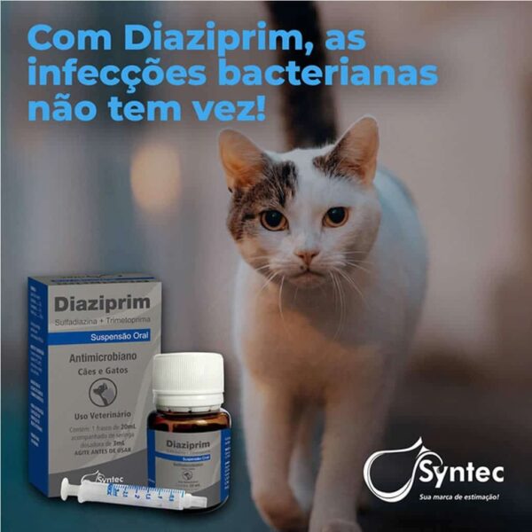 Antibiótico Diaziprim Syntec para Cães e Gatos - 20ml - Image 2