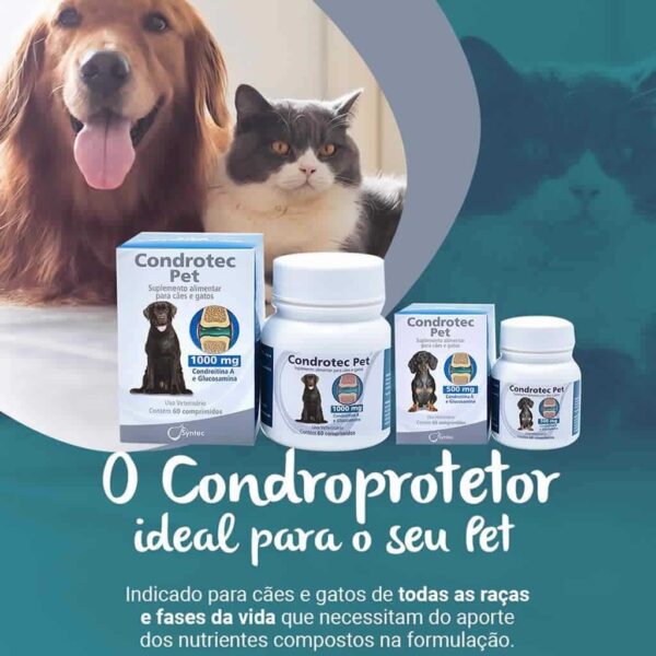 Suplemento Condrotec PET Syntec 500mg - Comprimidos - Image 2