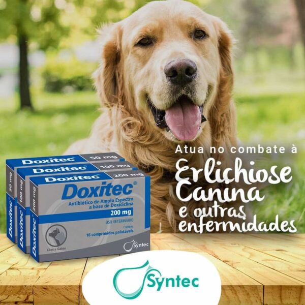 Antibiótico Doxitec 50mg Syntec - Comprimidos - Image 2