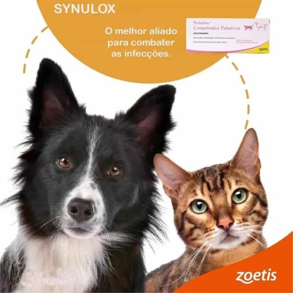 Antipulgas Simparic 20mg Zoetis para Cães de 5,1 a 10kg 1 comprimido - Image 2