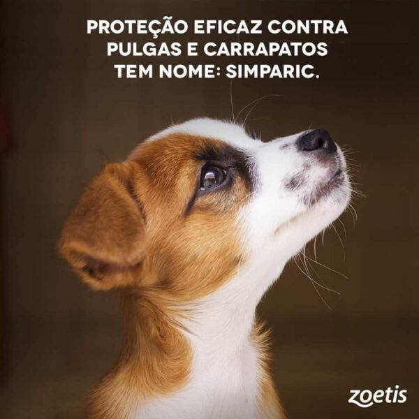 Antipulgas Simparic 5mg Zoetis para Cães de 1,3 a 2,5kg 3 comprimidos - Image 2