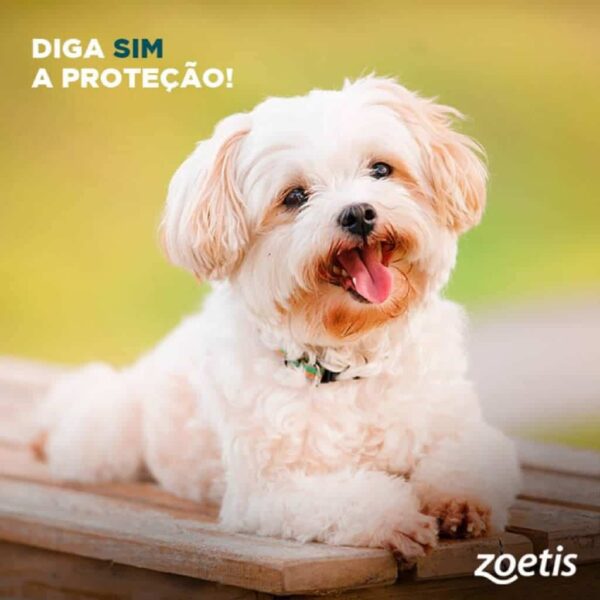 Antipulgas Simparic 40mg Zoetis para Cães de 10,1 a 20kg 3 comprimidos - Image 3