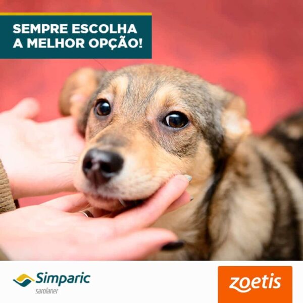 Antipulgas Simparic 120mg Zoetis para Cães de 40,1 a 60kg 3 comprimidos - Image 3