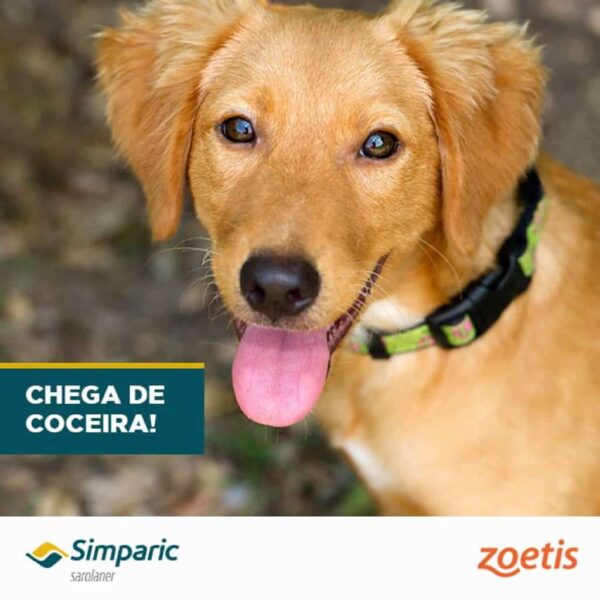 Antipulgas Simparic 120mg Zoetis para Cães de 40,1 a 60kg 1 comprimido - Image 3