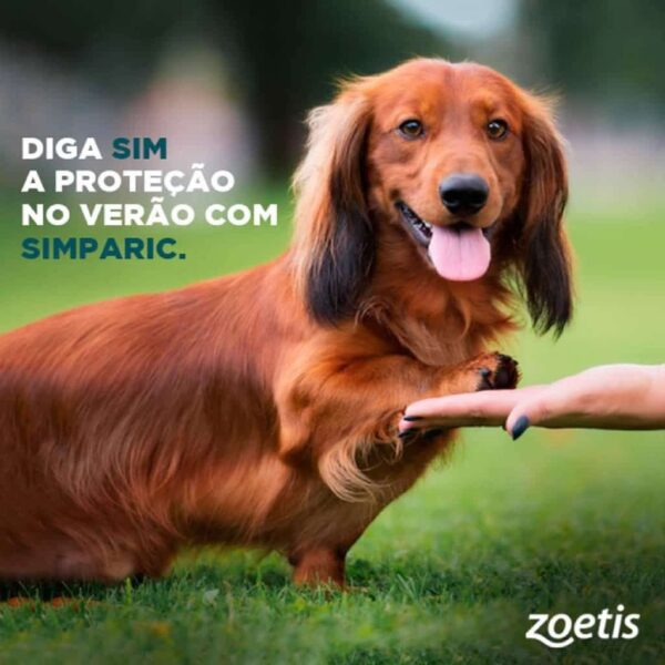 Antipulgas Simparic 20mg Zoetis para Cães de 5,1 a 10kg 1 comprimido - Image 3