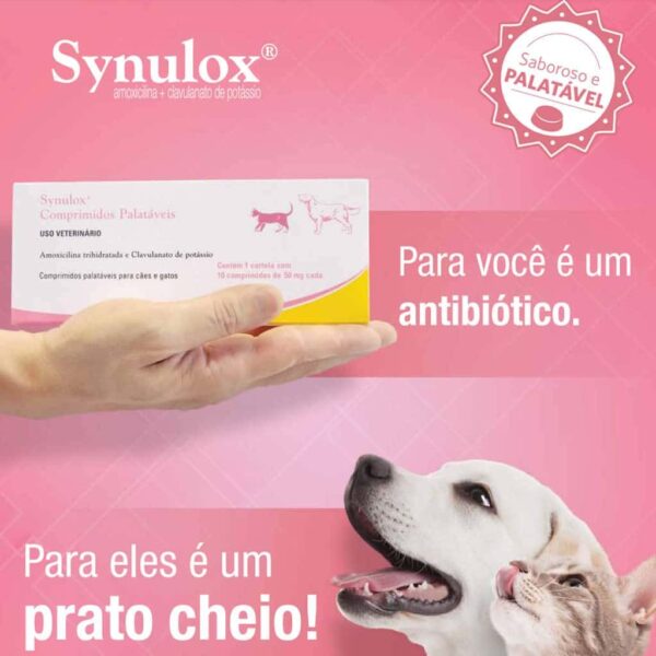 Antibiótico Synulox 50mg Palatável Zoetis 10 comprimidos - Image 2