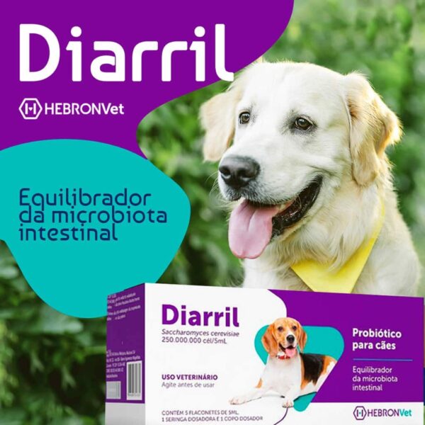 Diarril Hebron Vet Display com 5 Flaconetes de 5ml - Image 2