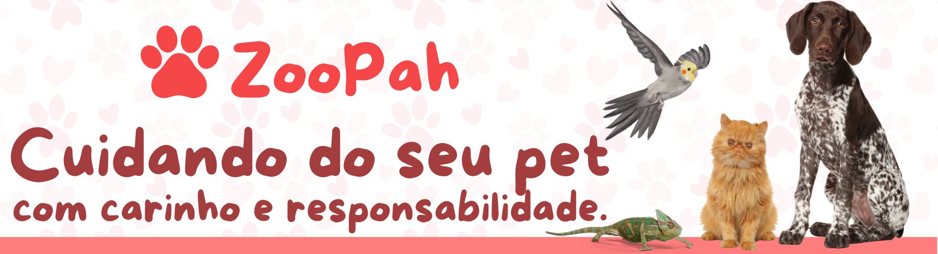 Cuidando do seu pet com carinho e responsabilidade